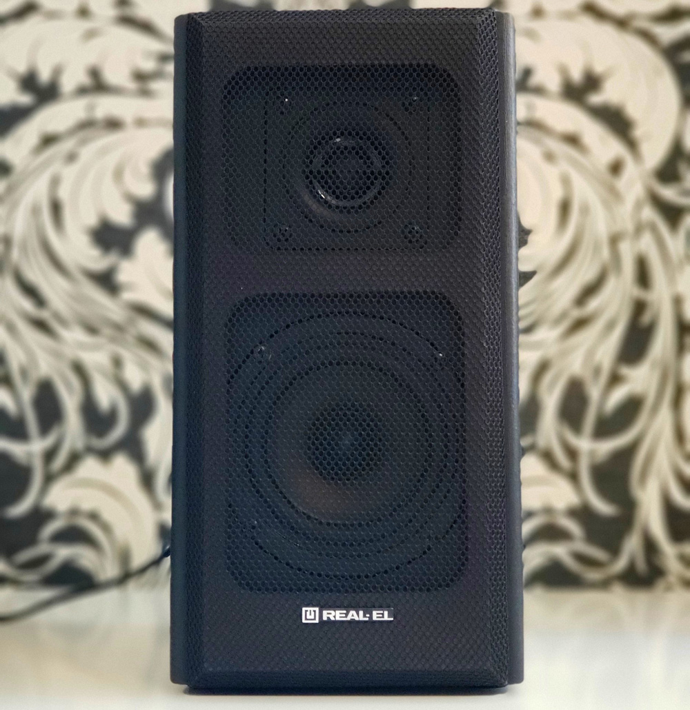 REAL-EL S-250 Зовнішній вигляд колонки REAL-EL S-250